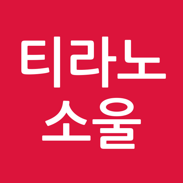 티라노 소울