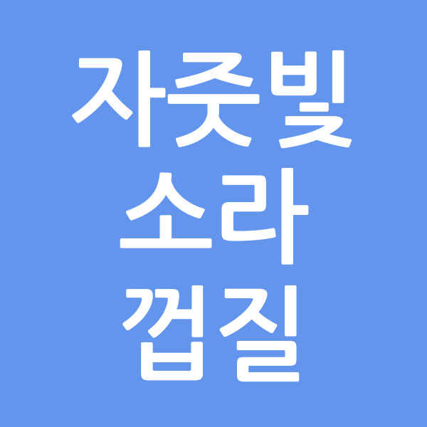 자줏빛소라껍질