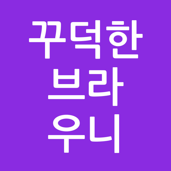 꾸덕한브라우니