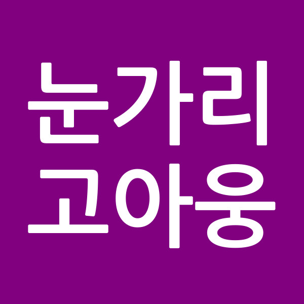 눈가리고아웅