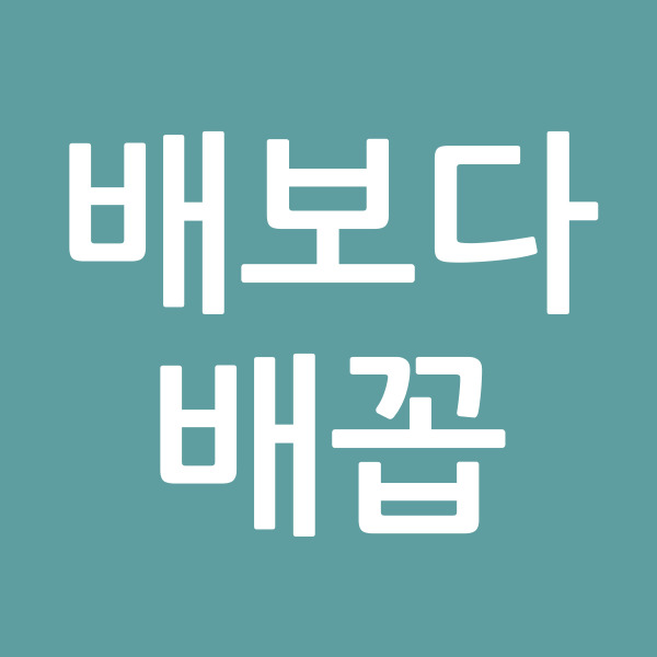배보다배꼽