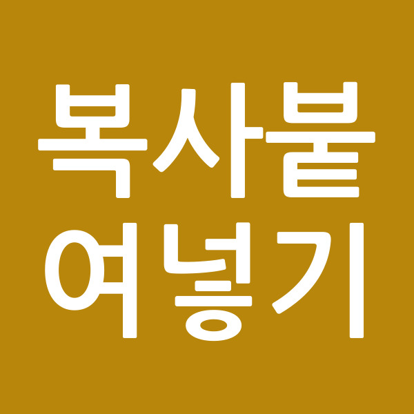 복사붙여넣기