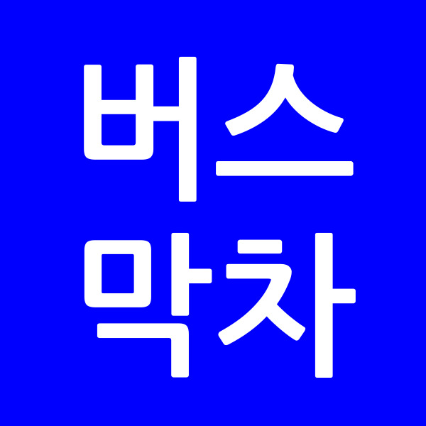 버스막차