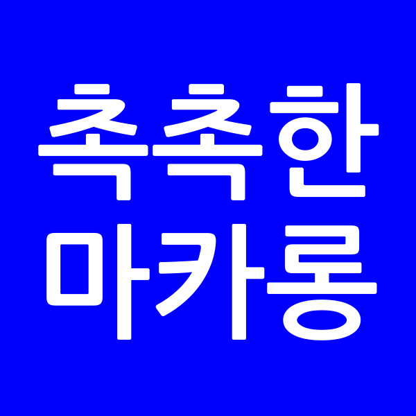 촉촉한마카롱