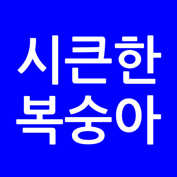 시큰한복숭아