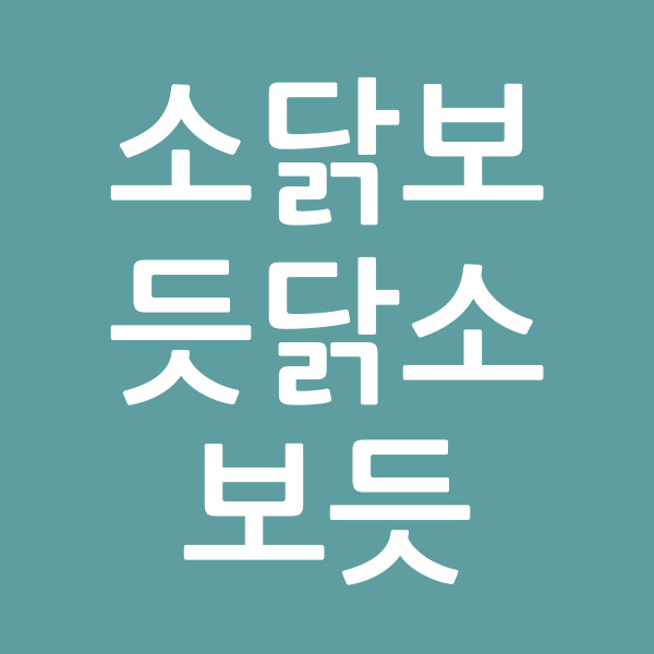 소닭보듯닭소보듯