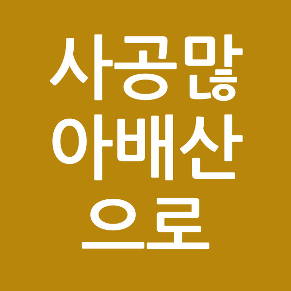 사공많아배산으로