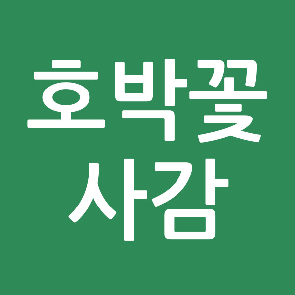 호박꽃사감