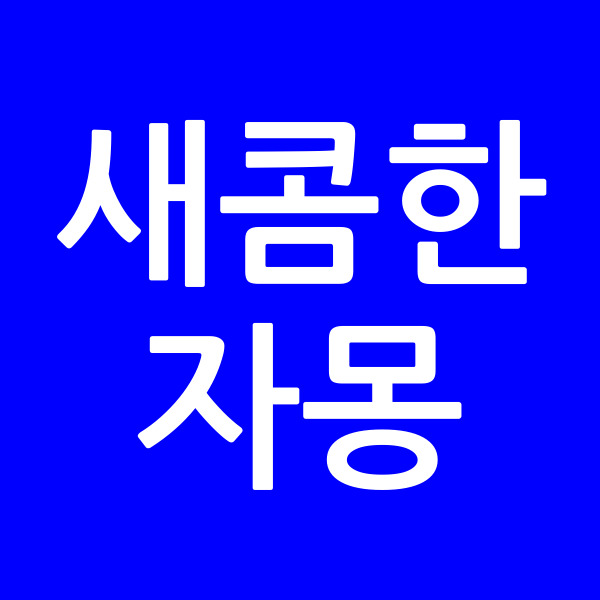 새콤한자몽