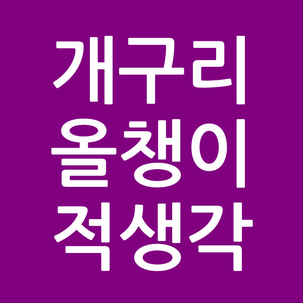 개구리올챙이적생각