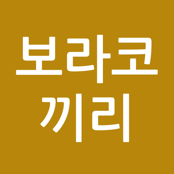 보라코끼리