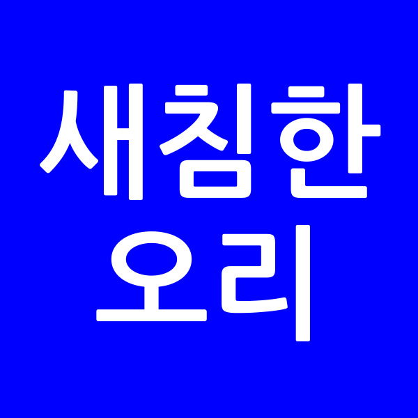 새침한오리