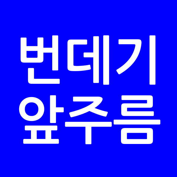 번데기앞주름