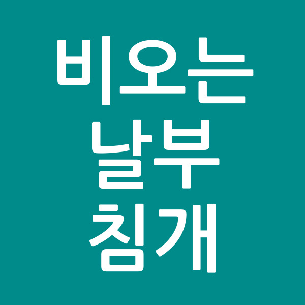 비오는날부침개