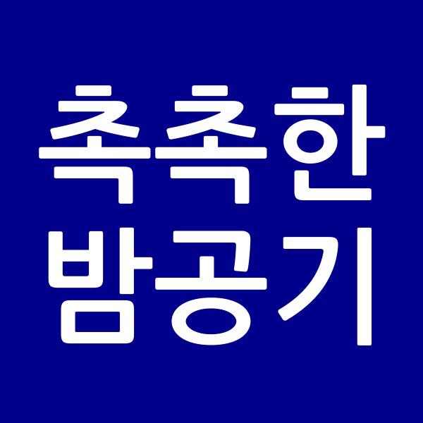 촉촉한밤공기