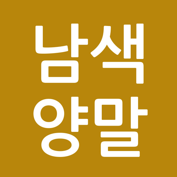 남색양말