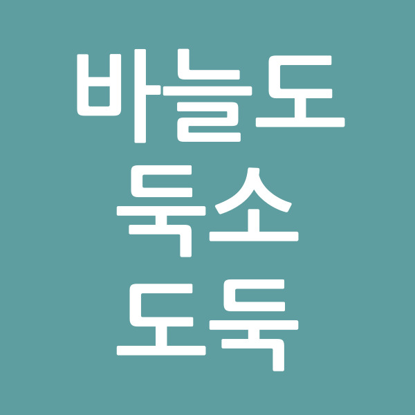 바늘도둑소도둑