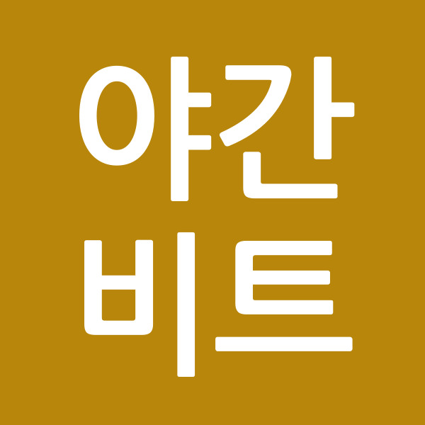 야간비트