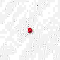 프렌치 노트 스티치 [French Knot Stitch]