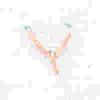 플라이 스티치[Fly Stitch]