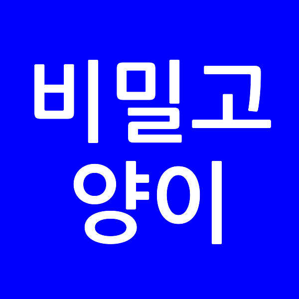 비밀고양이